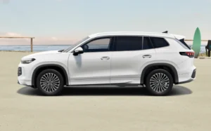 tayron elegance 2